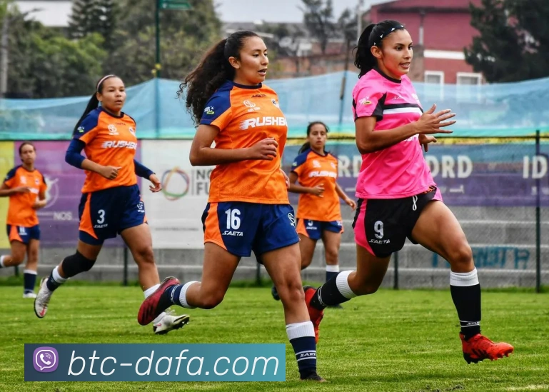 大发彩票服务体系